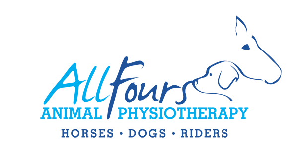 All Fours Animal Physiotherapy